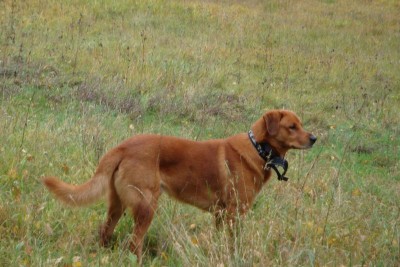 DSC00404 [800x600].JPG