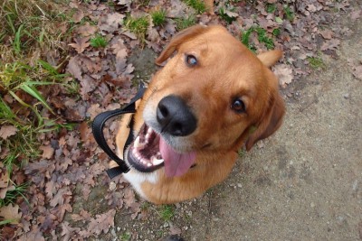 DSC00432 [800x600].JPG