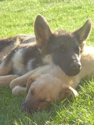 Kiedyś trzeba odpocząć ...