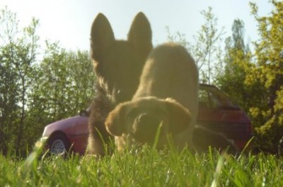 Przeciągamy się ... , a w tle oczywiście co ? ;)