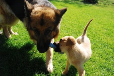 Cierpliwość Ksary, nie zna granic ...