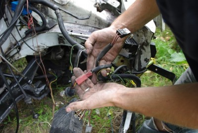 IMGP6135.JPG (184.18 KiB) Przejrzano 5978 razy kalkologia