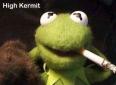 kermit1.jpg