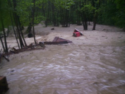 Sąsiadowi całkowicie  rozpieprzyło pasiekę