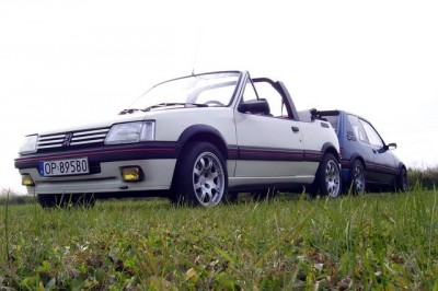 Resize of 103_7001.JPG