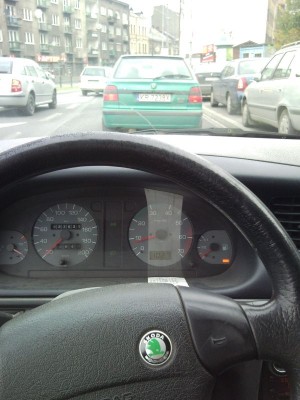 griffe z pepikowa.jpg