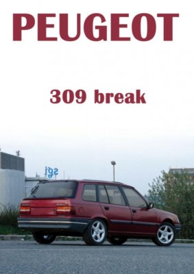 Peugeot_309_break__jpg_middle.jpg