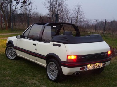 Resize of 100_7455.JPG