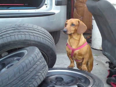 DSC00837 - Kopia.jpg