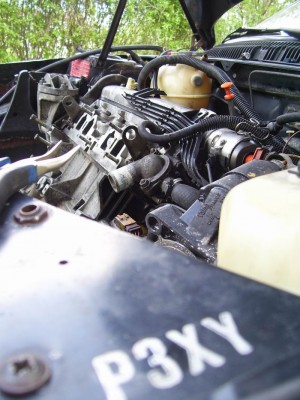 Resize of 100_7624.JPG