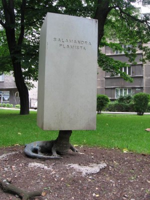 Resize of IMG_7966.JPG