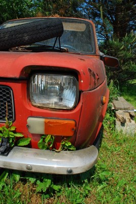 DSC_6189 (Kopiowanie).JPG