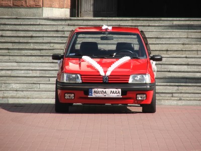 DSCF1995.JPG (904.37 KiB) Przejrzano 6400 razy Walentynka - wedding edition :D