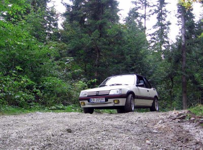 Resize of IMG_8337.jpg