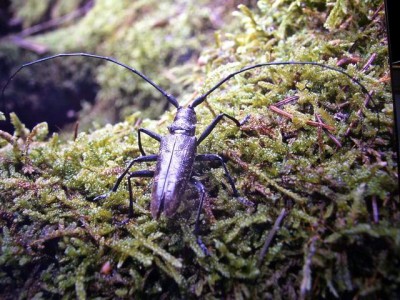 Resize of 100_8343.JPG