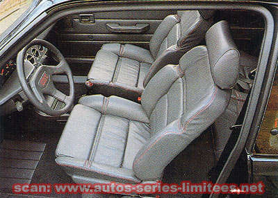 Cuir Gris - GTI "Magic"