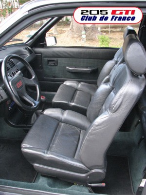 !cuir noir.jpg (136.45 KiB) Przejrzano 28483 razy Cuir Noir (dostępne jako opcja, a także jako wyposażenie podstawowe w Griffe i Gentry)