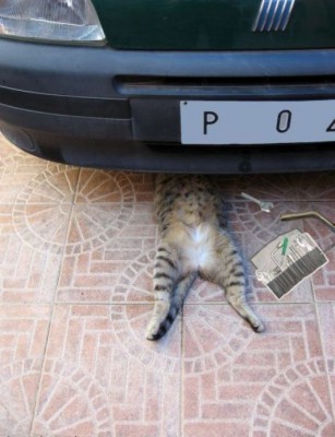 24.jpg (56.19 KiB) Przejrzano 7285 razy 24.jpg