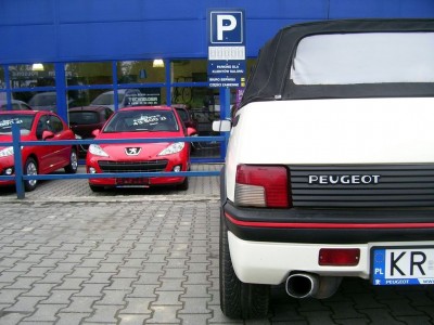 Resize of 100_9942.JPG