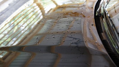 Resztki olejkow po pascie polerskiej