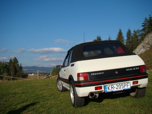 Resize of DSC05637.JPG