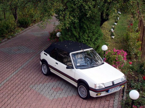 Resize of DSC05621.JPG