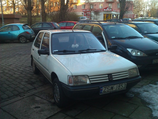 I na tle Baru Głodny królik.