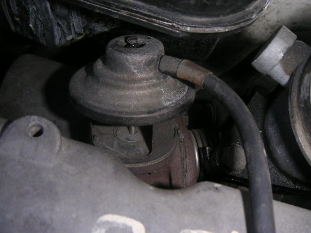 mosiężny grzybek.JPG