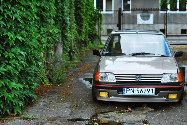 DSC_0310 (Kopiowanie).JPG