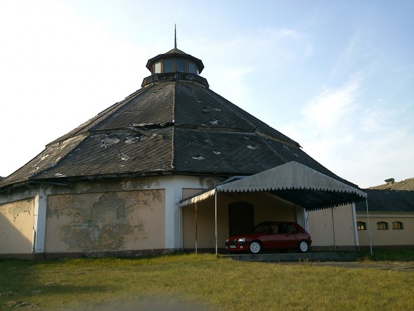 Lew z opuszczonego cyrku. Teren kompleksu cyrkowego w Julinku.