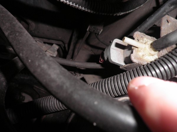 PC140559 (Kopiowanie).JPG