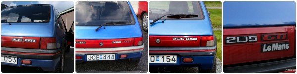 205 GTI Le Mans logo.jpg
