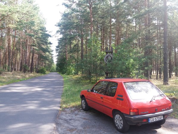 20170826_103634.jpg (1.9 MiB) Przejrzano 9548 razy Bory Tucholskie