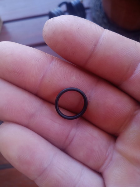 Oring.jpg (3.08 MiB) Przejrzano 9628 razy w mordę kopany