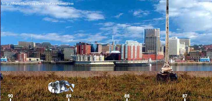 Bez nazwy 1 kopia.jpg